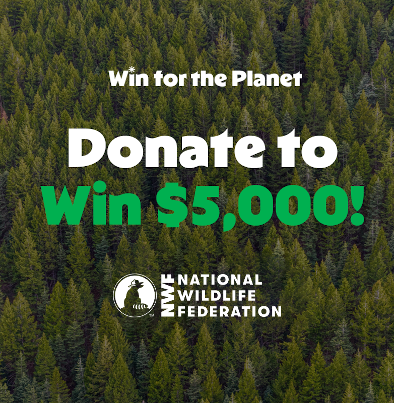 USDA Organic, Vegan, Non-GMO, Keto, Gluten Free