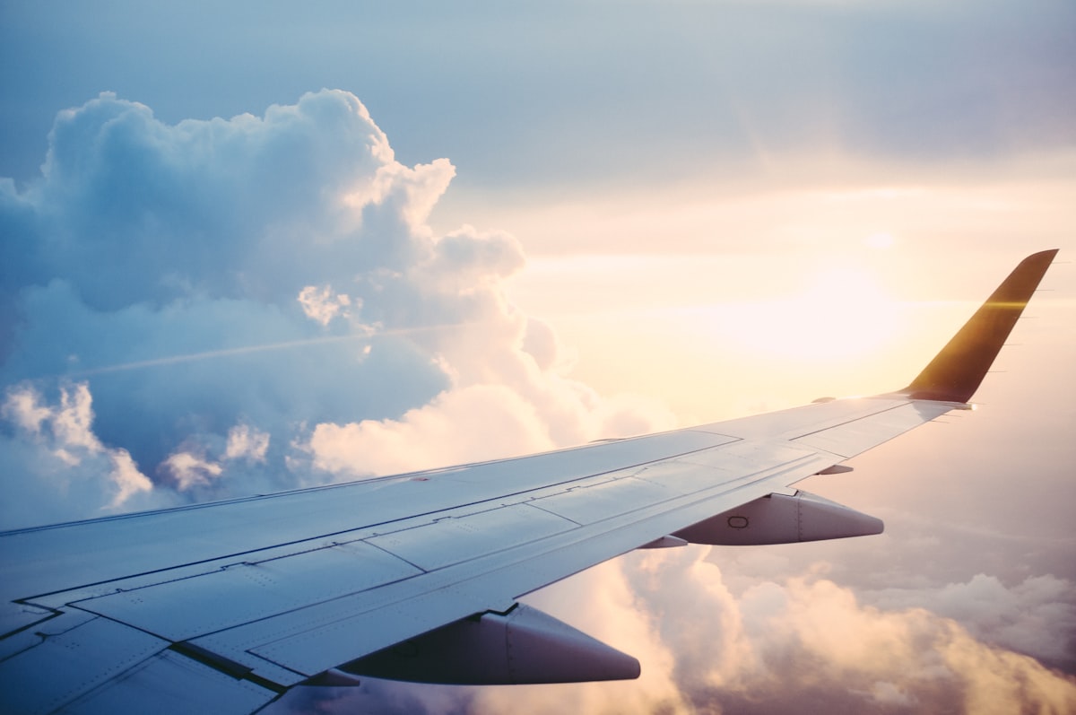 Aerial view of airplane wing over clouds representing how kale's magnesium, folate, quercetin, and potassium help reset your circadian clock and recover from jet lag