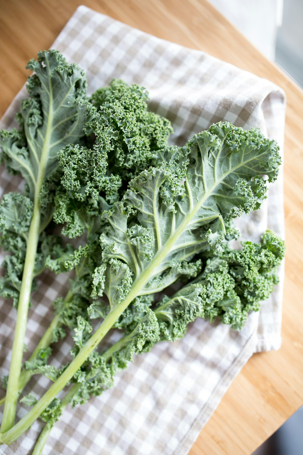 Close-up of fresh kale leaves