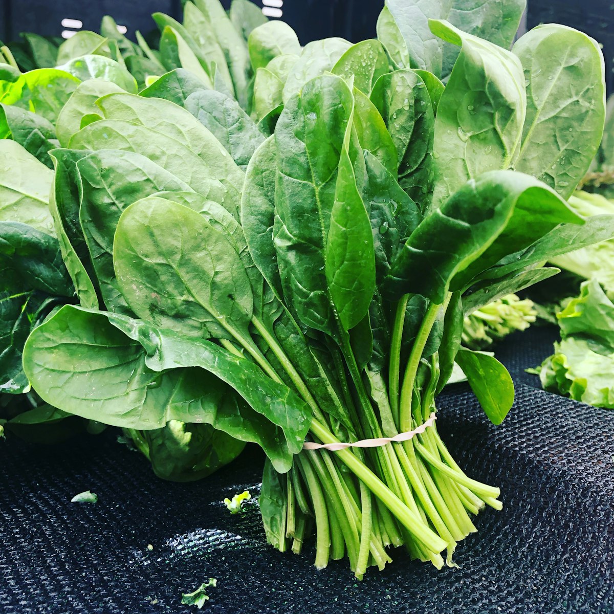 Kale leaves close-up — vitamin K and blood clotting