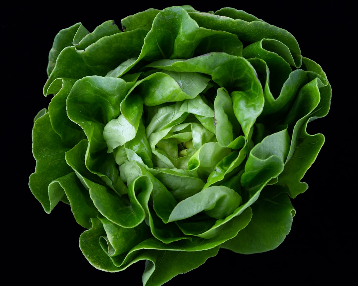 Green powder in scoop with fresh greens
